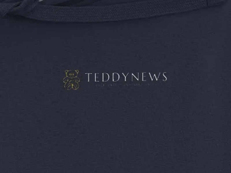 Nahaufnahme: Teddynews Signature Hoodie, Logo auf dem Stoff